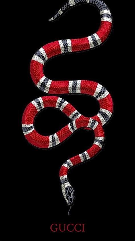 serpent de gucci|gucci snake symbolism.